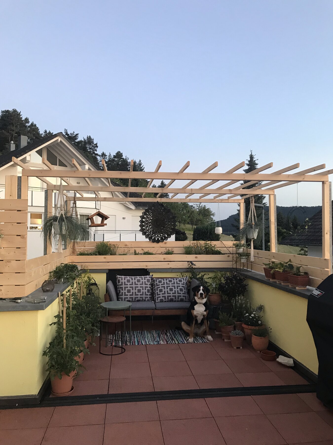 Pergola